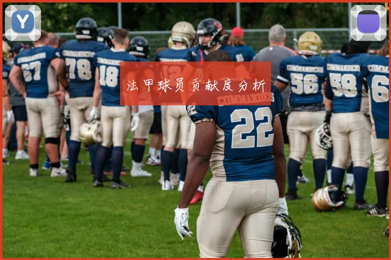 法甲球员贡献度分析