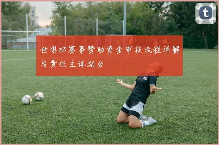 世俱杯赛事赞助资金审核流程详解与责任主体划分